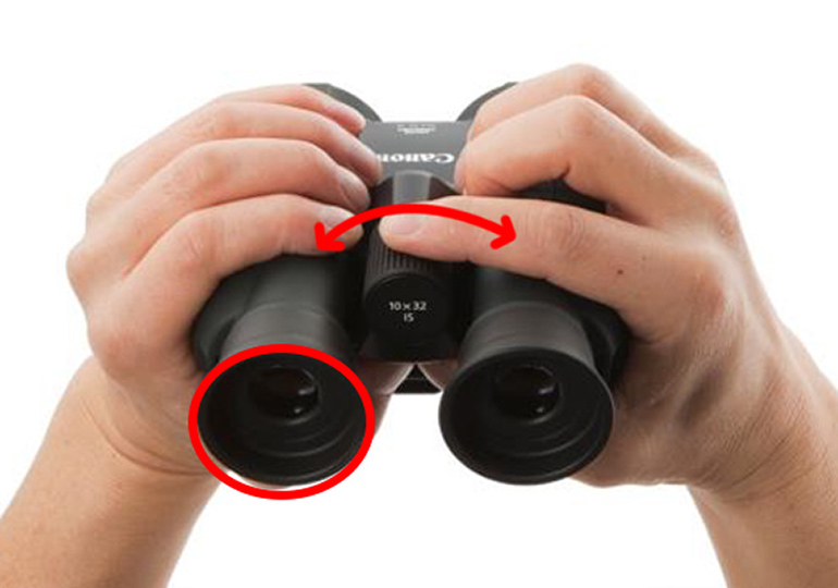 Use binoculars store in a sentence